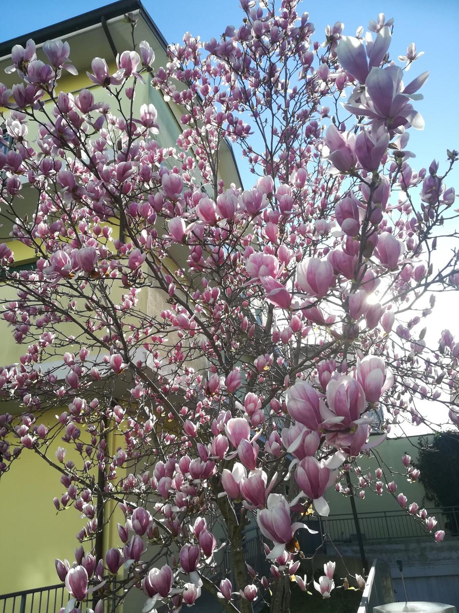 Ferienhaus La Magnolia Di Ravenna